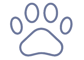 Pets